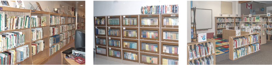 Depaul E M H S S Choondal - Library
